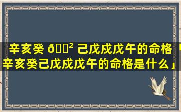 辛亥癸 🌲 己戊戍戊午的命格「辛亥癸己戊戍戊午的命格是什么」